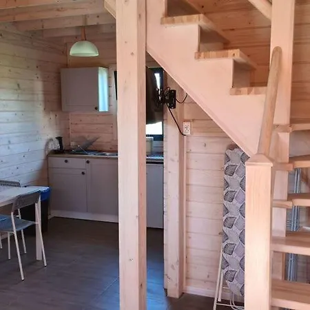 Cozy Family In Near The